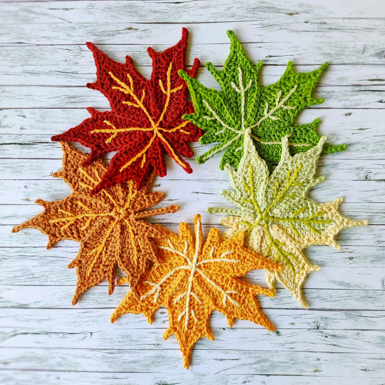 Maple Leaf
