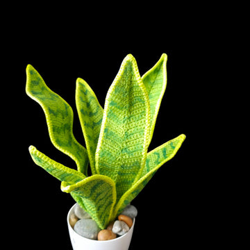 Crochet Snake plant pattern