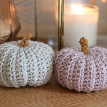Autumn Pumpkin