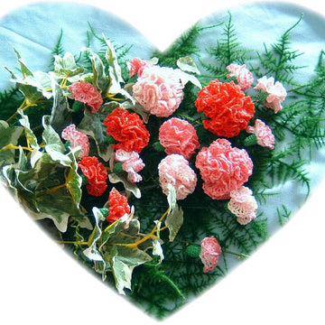 Carnation bouquet