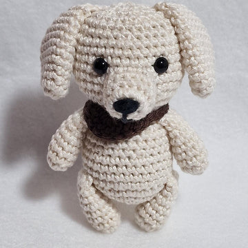Labrador Retriever Dog