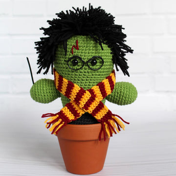 Cactus wizard Harry, plant, succulent