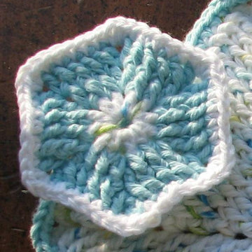 FPdc Scrubby & Dishcloth
