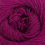Raspberry Radiance (877)
