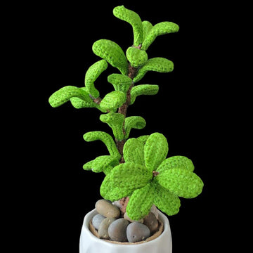 Crochet Jade plant pattern