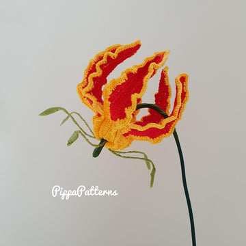 Flame Lily