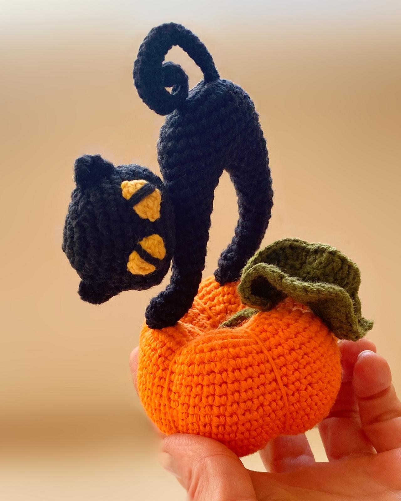 Black Cat with Pumpkin