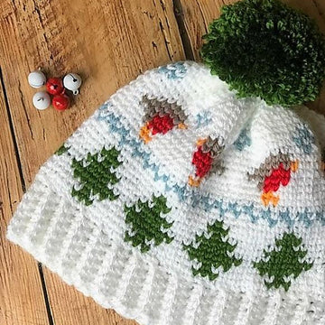 Winter Robin Beanie