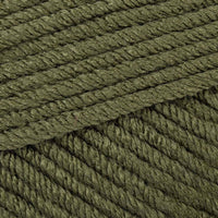 Moss Green (1027)
