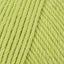 Spring Leaf (694)
