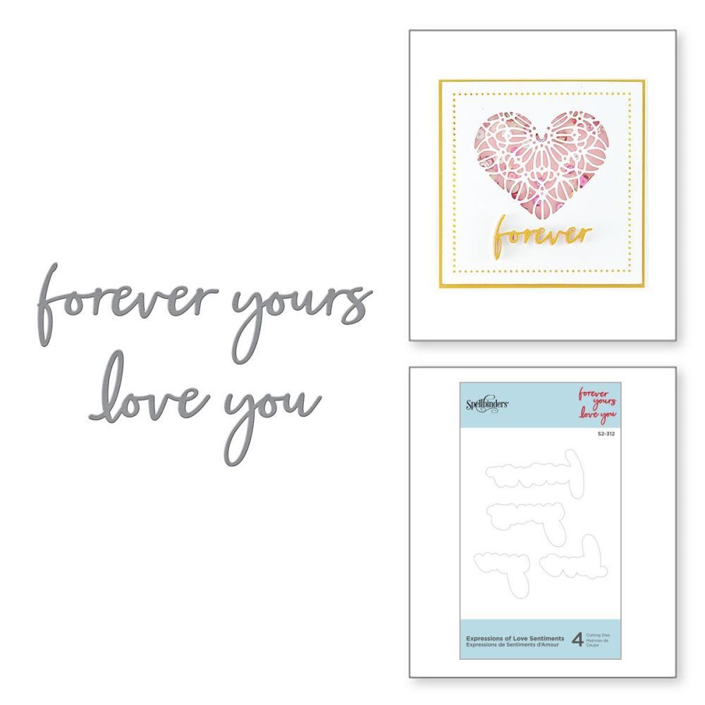 Spellbinders Expressions Of Love Etched Dies - Sentiments