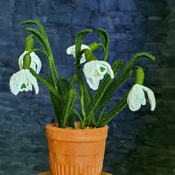 Snowdrops realistic flower
