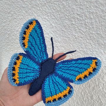 Karner Blue Butterfly