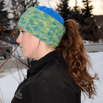 Winter Beauties Pony