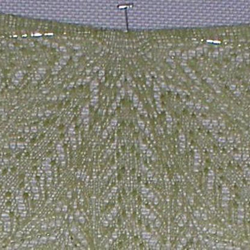 Back to the Garden Shawl