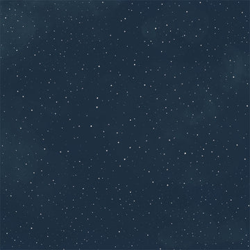 Echo Park Paper Snow Much Fun Double-Sided Cardstock 12"X12" 25/Pkg - Snowy Night