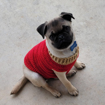 Pug Puppy Sweater