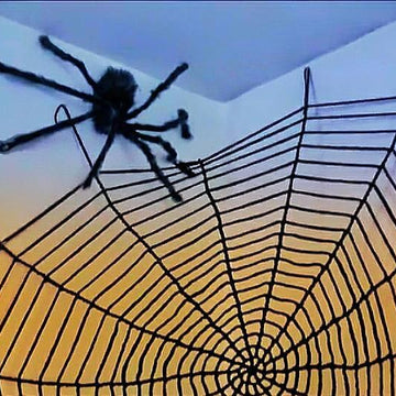 Halloween Spiderweb and Spider