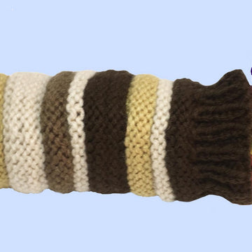 Caterpillars, butterfly, cocoon and food