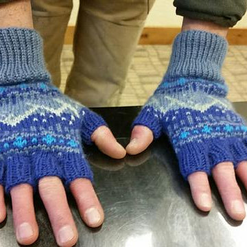 Rocky Mountain Fingerless Gloves