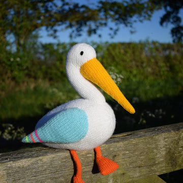 Peggy the Pelican