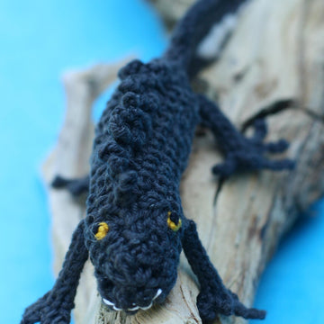 Newt