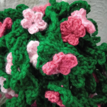 Snowtopia hanging plant