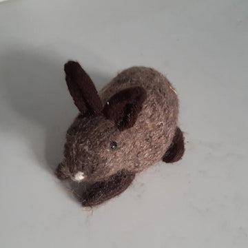 House rabbit Pert