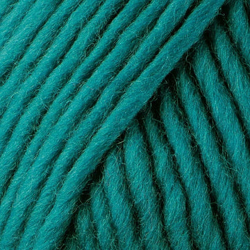 Pacific Teal (77203)