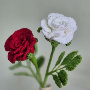 Rose hybrid bud