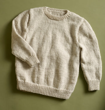 Sleeve Classic Pullover in Lion Brand Wool-Ease - 90041AD