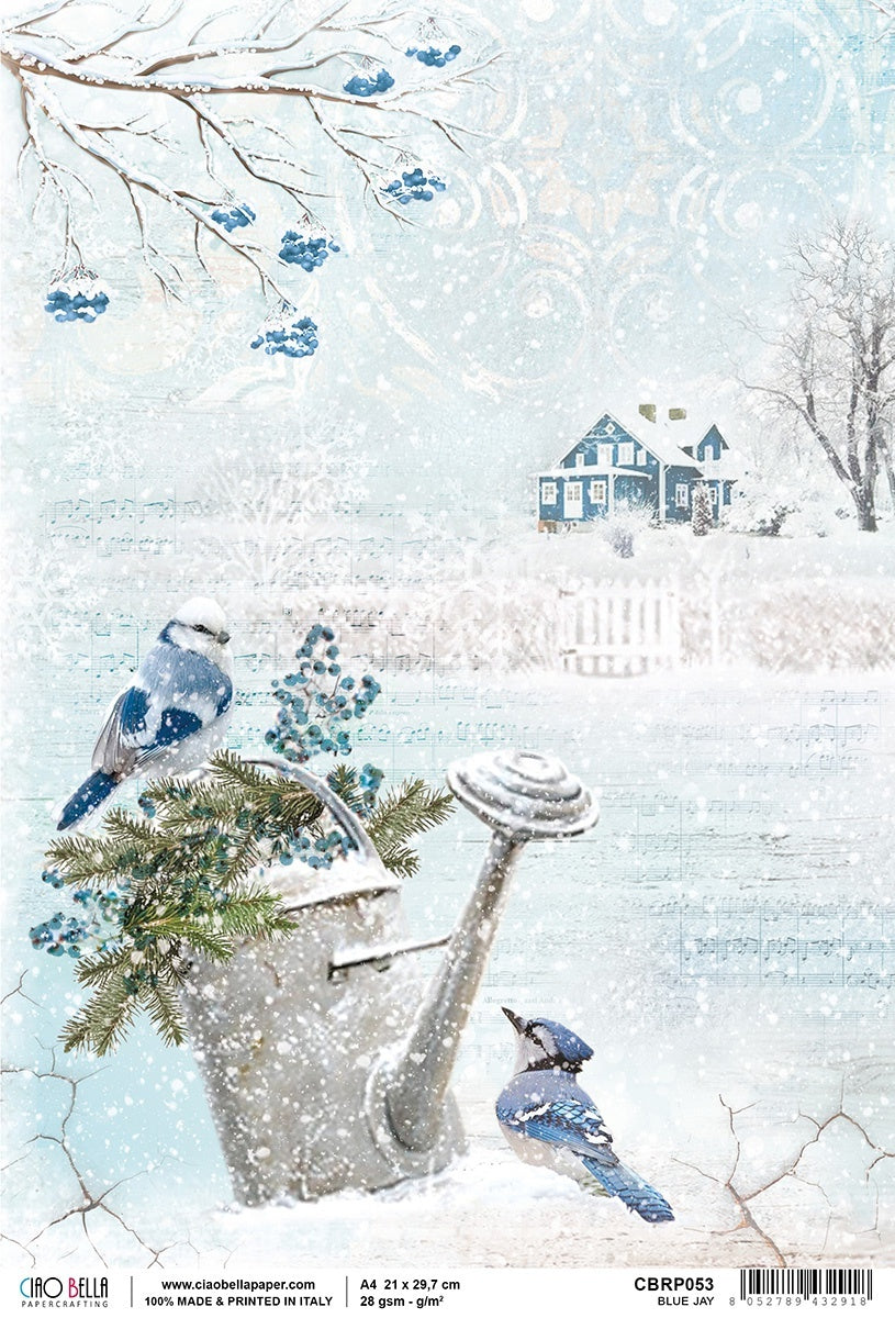 Ciao Bella Rice Paper Sheet A4 5/Pkg - Blue Jay, Time For Home
