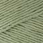 Bay leaf (1811)