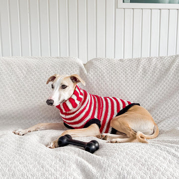 Doggo no 14 sweater
