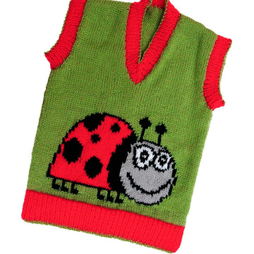 Ladybird (ladybug) sweater