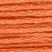 Peach Orange (VAS1272)