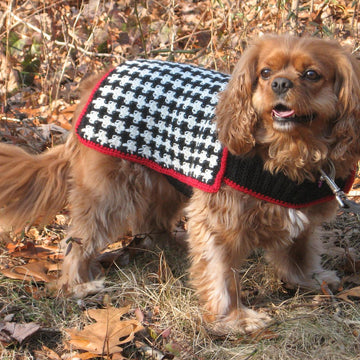 The Hound of the Baskervilles Dog Coat