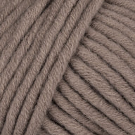 Camel (20)