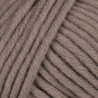 Camel (20)
