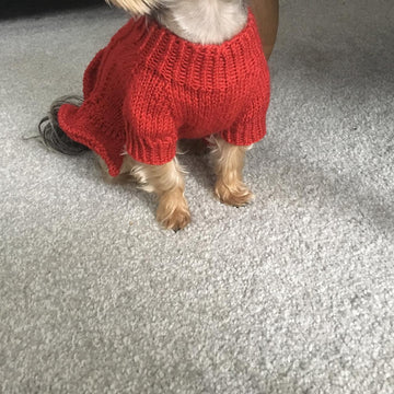 Blue Knitted Dress for Dogs