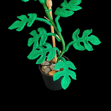 Crochet Monstera Ginny plant