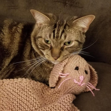 Funny Bunny Blankey