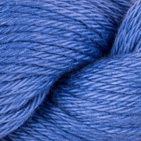 Blueberry (3800)
