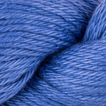 Blueberry (3800)