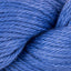 Blueberry (3800)