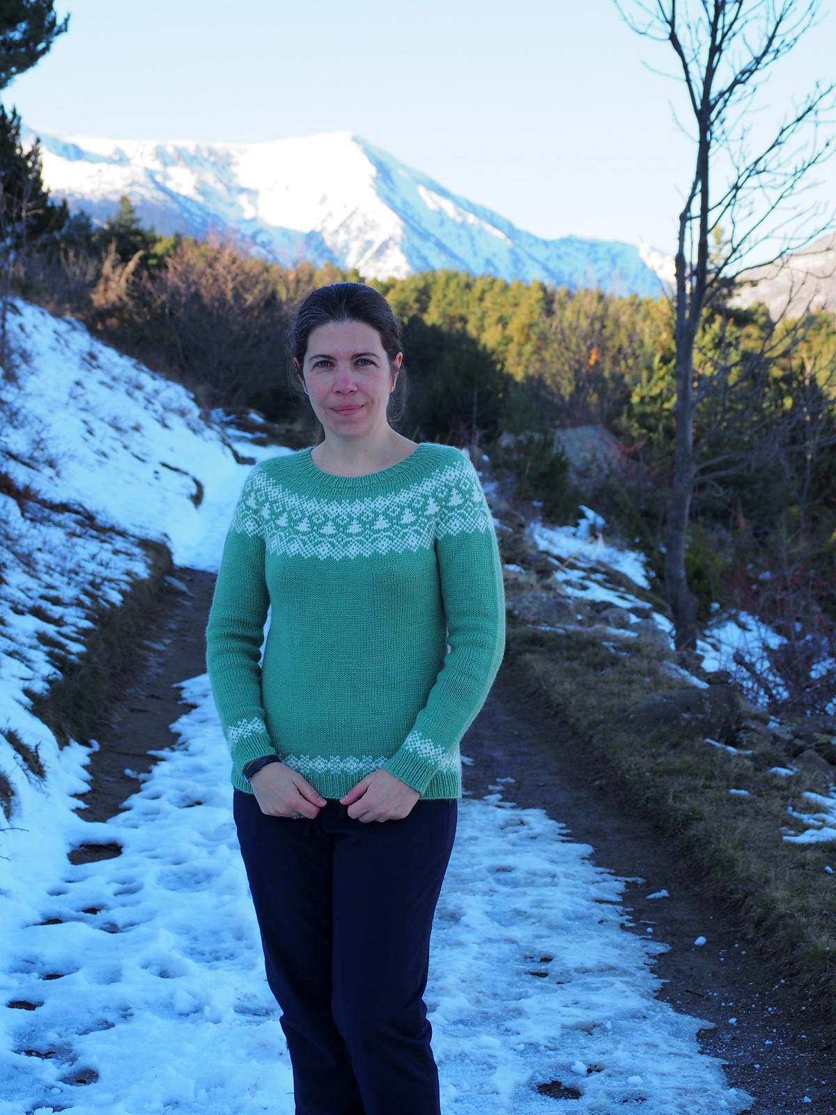 Arbolito Sweater
