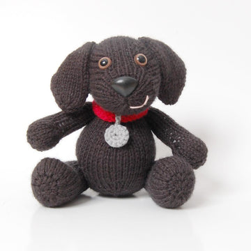 Lucy the Labrador