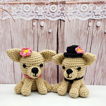 Chihuahua Couple