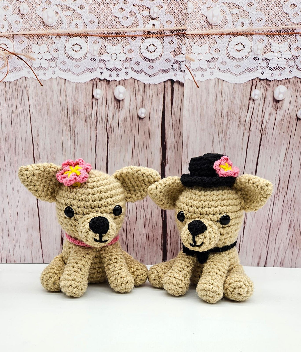 Chihuahua Couple