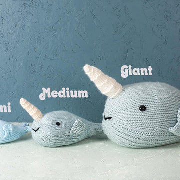 Zoe the Narwhal